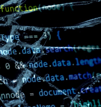 Make it Crash! Fuzzing Web Applications