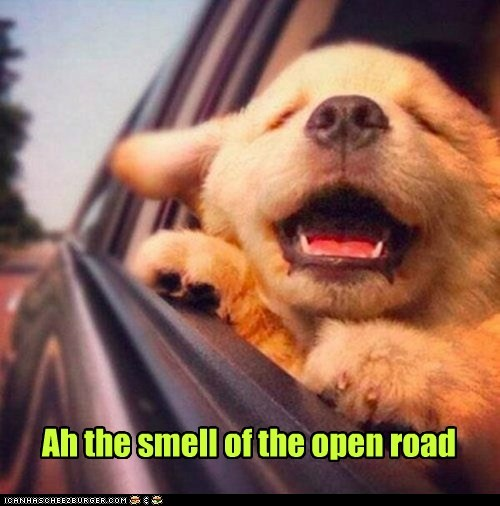 Ah, the smell of the open road